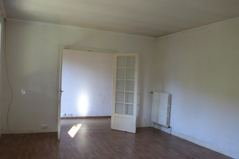 photo no. 5