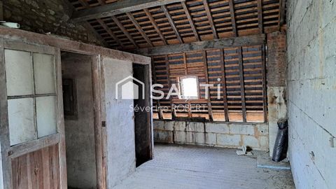 photo no. 5