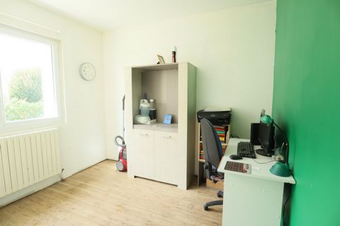 photo no. 8