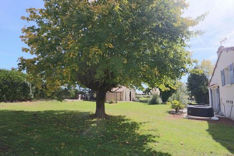 photo no. 12