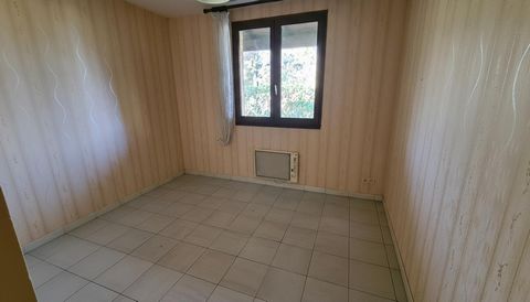 photo no. 6