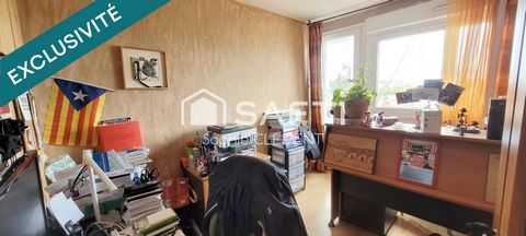 photo no. 6