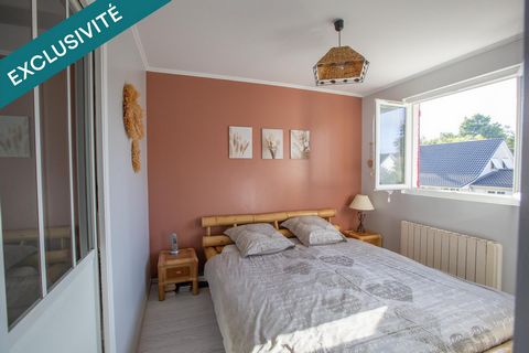 photo no. 10