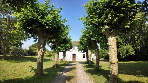 Élégante maison de maître nichée au cur d'un magnifique parc arboré de 4 500 m²