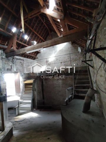 photo no. 10