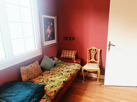 photo no. 12