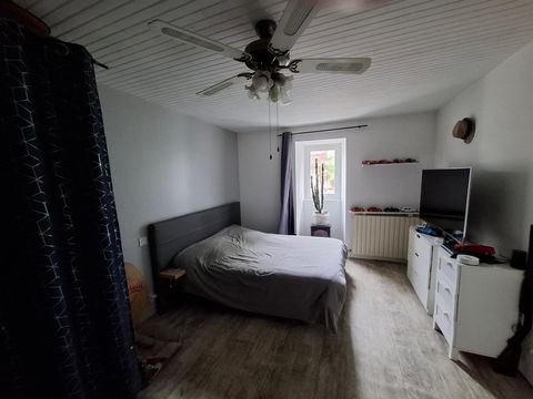 photo no. 11