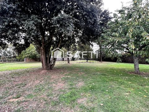 photo no. 10