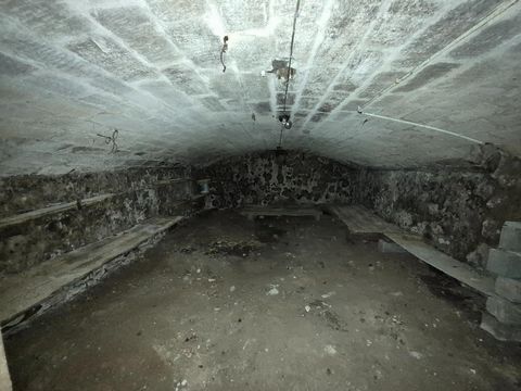 photo no. 15