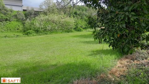 photo no. 1