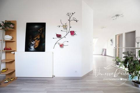 photo no. 12
