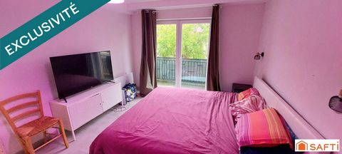 photo no. 11