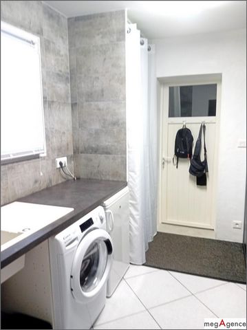 photo no. 11