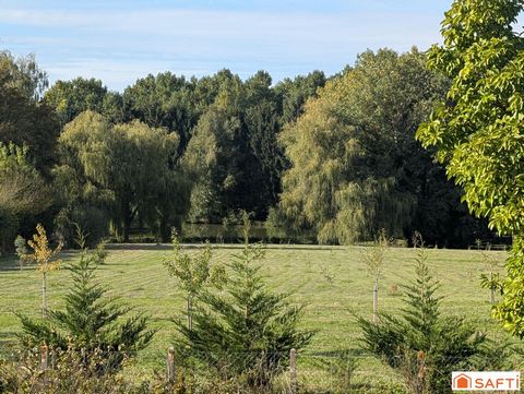 photo no. 7