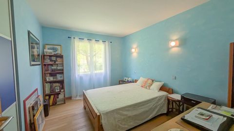 photo no. 10