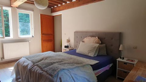 photo no. 11