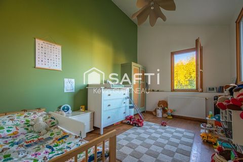 photo no. 10