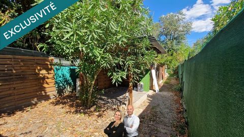 photo no. 13