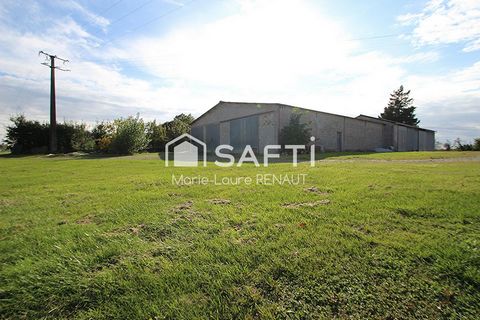 photo no. 11