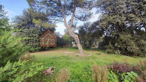 photo no. 3