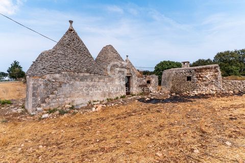 Nel cuore della suggestiva Valle dItria, in Strada Papadomenico Martina Franca, proponiamo in vendita un caratteristico Trullo immerso nella quiete della campagna pugliese. Superficie terreno: circa 2.780 mq, a seminativo Contesto naturale: vista ape...