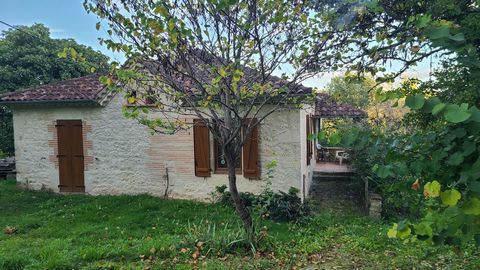 photo no. 13