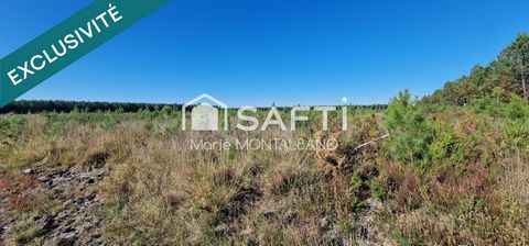 Terrain forestier de 1,5h à Sanguinet