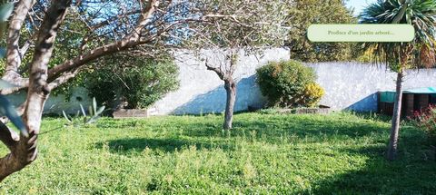 photo no. 1