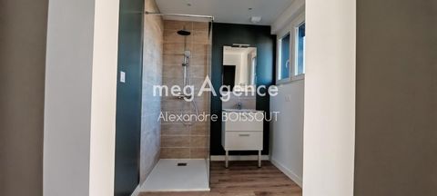 photo no. 8