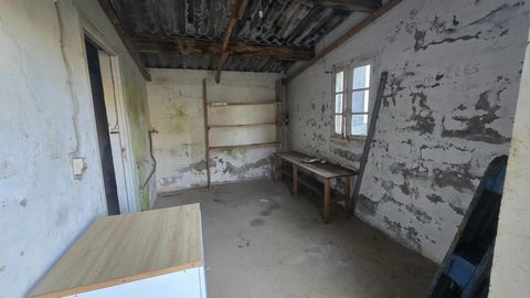 photo no. 14