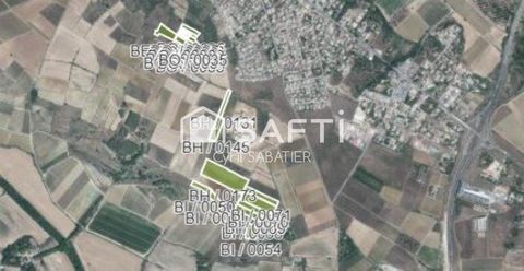 Terrains agricoles / viticoles + hangar, irrigation, bio