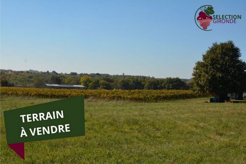 À vendre  Terrain plat à Batir à Pellegrue