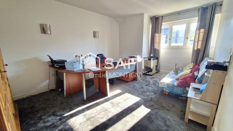 photo no. 15
