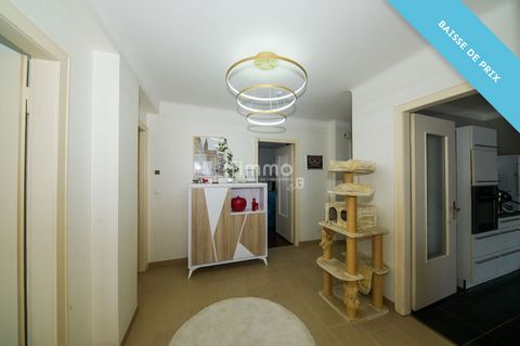 photo no. 7
