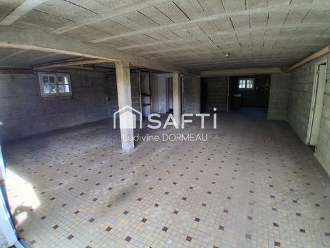 photo no. 11