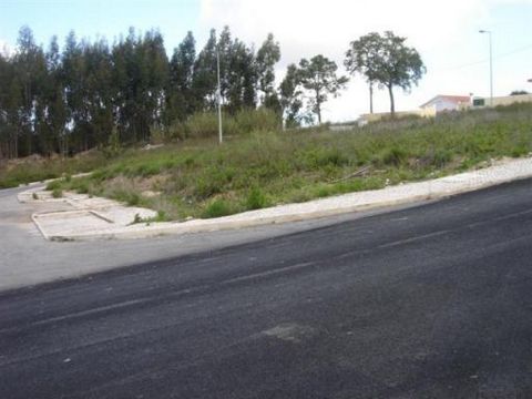 Located in São Pedro (Óbidos). Plot in urbanisation with light, water, sanitation, telecommunications, for construction of single-family housing, with view on the castle of Óbidos, 2 minutes from the motorway, excellent sun exposure. Direct contact: ...