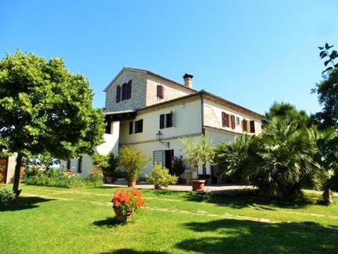 3-bedroom villa The villa is situated on the slope of the hill of Camerano and it is a former farmhouse that has been totally renovated. The villa is set over three floors and comprises on the ground floor a double bedroom, a bathroom, a kitchen and ...