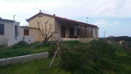 Agia Fotia-Sitias: Plot with olive trees and a farm house in Agia Fotia –Sitia with fantastic views. The plot is 6.650m2 and has approximately 100 olive trees and a building right plus 130m2. The house is 60m2 and consists of an open living area with...