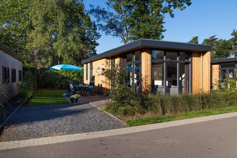 Lunteren, nel Gelderland, è il centro geografico dei Paesi Bassi. Circondata da boschi, brughiere e cumuli di sabbia, Lunteren è una meta ideale per gli amanti della tranquillità, dello spazio e della natura. Scopri l'autenticità del Veluwe, con le s...