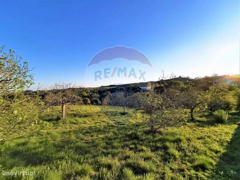 Rustic land with an area of 8,880 m2, crossed by the road connecting Olaia to Árgea, with water and electricity infrastructures in the vicinity, where a public water outlet was installed; It is close to the church of Olaia and the village of Chícharo...