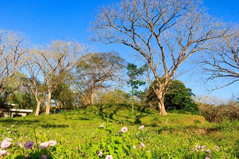 Een paradijs midden in de dichte tropische jungle van Nosara, een juweel dat volledig beschikbaar is voor diegenen die een woningbouwproject of een bedrijf willen creëren aan de zuidkust van Guanacaste, Costa Rica. Dit kavel is een koopmogelijkheid g...