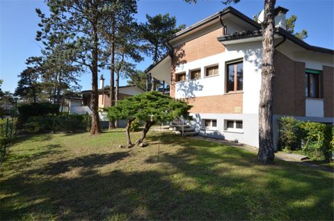 Holiday village composed of 12 units situated in a green area, about 900 m from the beach and about 800 m from the centre of Lignano Pineta. Some apartments have a private, enclosed garden. Washer and dryer (with coins) in common use. Fitness way and...
