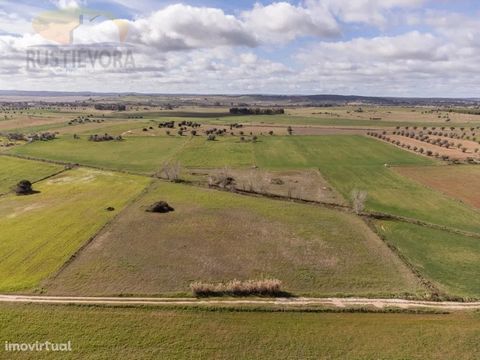 Agricultural land located in São Manços. With an area of 1.4125 ha and an irrigation mouth with water from Albufeira do Alqueva, this land is able to receive rainfed and/or irrigated crops. São Manços is an Alentejo village located in the municipalit...