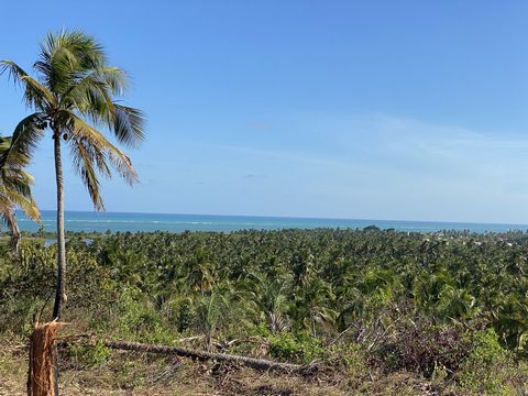 Land with Sea View in Tatuamunha, Alagoas Land with Sea View in Tatuamunha, Alagoas Upper part of Tatuamunha Location: Tatuamunha, Alagoas Total Size: 3,865 m² Net Area: 1,662 m² Sea View: 200 degrees of panoramic view, guaranteed forever Last terrai...