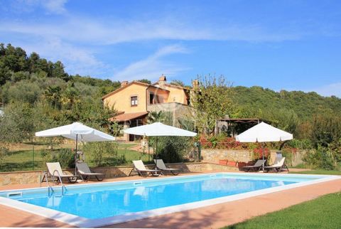 In a panoramic position with privacy, large farmhouse + 2 apartments for hospitality use; large multipurpose area, garage, annex, swimming pool and land with olive trees, arable land and woods. The farmhouse, completely ready and renovated, is on two...