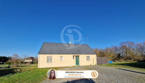 Set on a garden of 1886 m2, this detached house from 2012 is located 10 minutes from CHINON in the town of ANCHE. You will discover on one level a bright living room composed of a fitted and equipped kitchen, a dining room and a living room with acce...