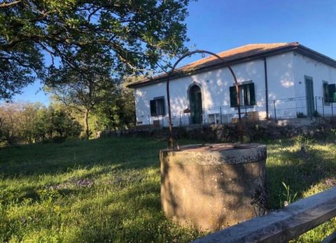 Luxury farmhouse for sale Sicily - Catania - Randazzo Beautiful farmhouse for sale in Sicily with vineyard In the splendid setting of Etna, in the territory of Sicily in the center of the Mediterranean Sea at 900 meters above sea level, exactly 1 km ...