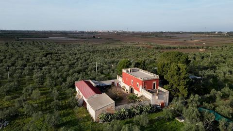 PUGLIA - RUVO DI PUGLIA - MONSERINO DISTRICT In Ruvo di Puglia we offer for sale a charming and charming farmhouse immersed in an enchanting estate of 18 hectares of land. Built with local stone and characterized by authentic charm, the property reta...