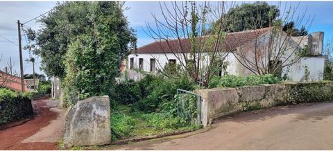Detached house for sale, consisting of 2 floors, with 270 m2 of gross construction area, in need of immediate recovery works and built on a plot of 554 m2. The villa is located in a quiet area, in the parish of São Bartolomeu de Regatos, municipality...