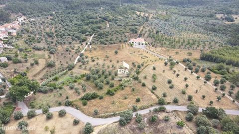 Land for construction of your dream villa! With an area of 2240 m2, all of it flat that has a road front and therefore easy access. Excellent location 10 minutes from the Templar city of Tomar. Land with panoramic views, in tranquility and rural harm...